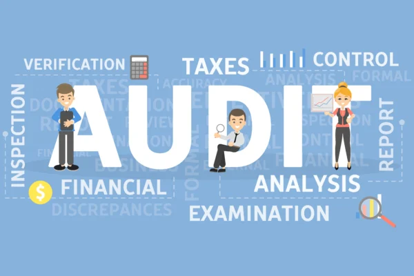 Understanding Audits: An In-Depth Guide