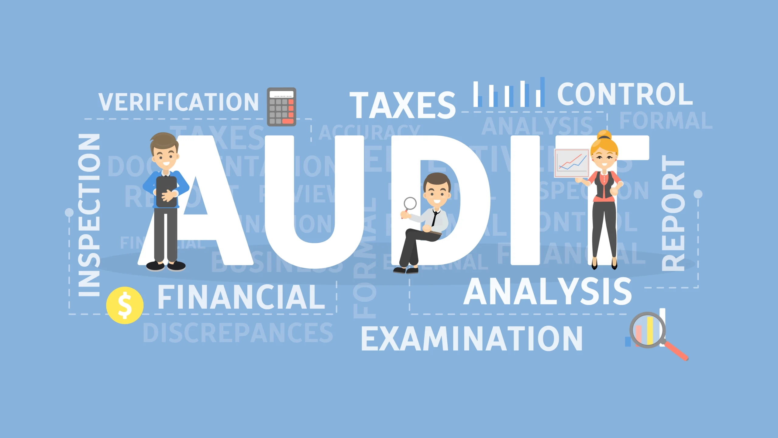 Understanding Audits: An In-Depth Guide