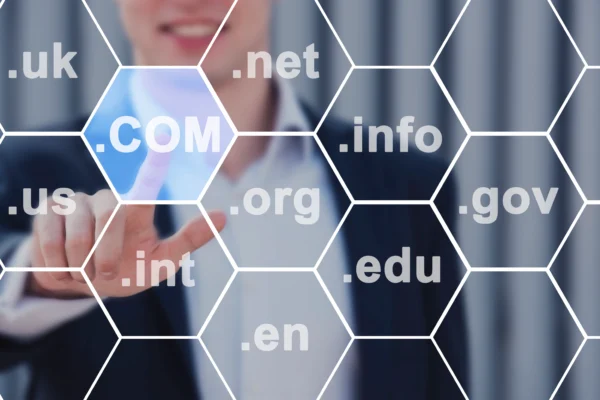 Understanding Domains: The Cornerstone of the Internet