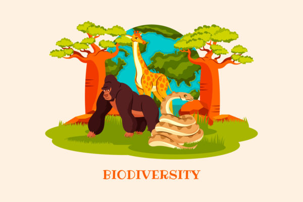 Understanding Biodiversity: Its Importance for Ecosystems