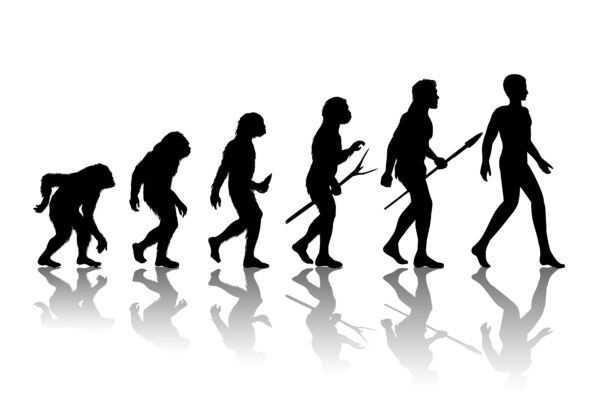 Debunking Myths: The Most Common Misconceptions About Evolution